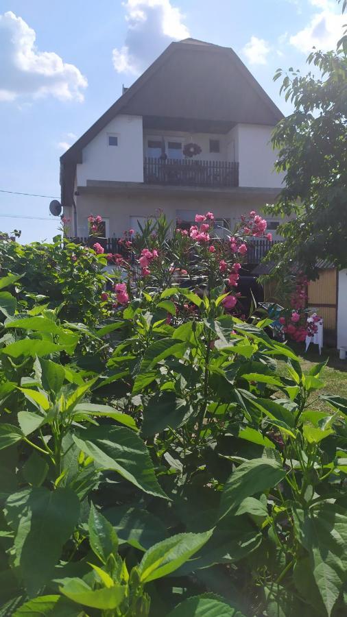 Leander Apartman Balatonlelle Exteriör bild